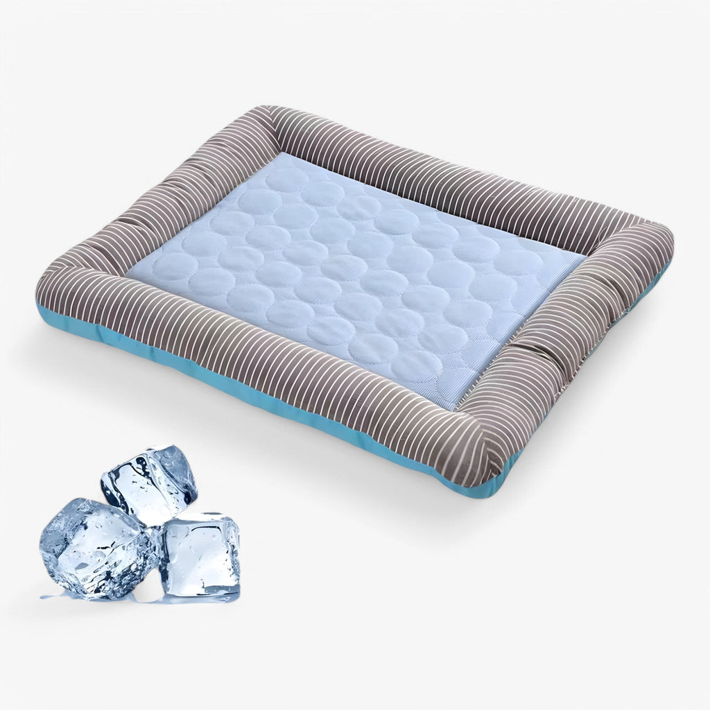 Washable Dog Bed Cushion with Raised Edges