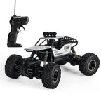 1/14 RC Rock Crawler Truck for Kids with Remote Control